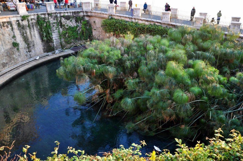 Siracusa Vacanze Syracuse Cameră foto